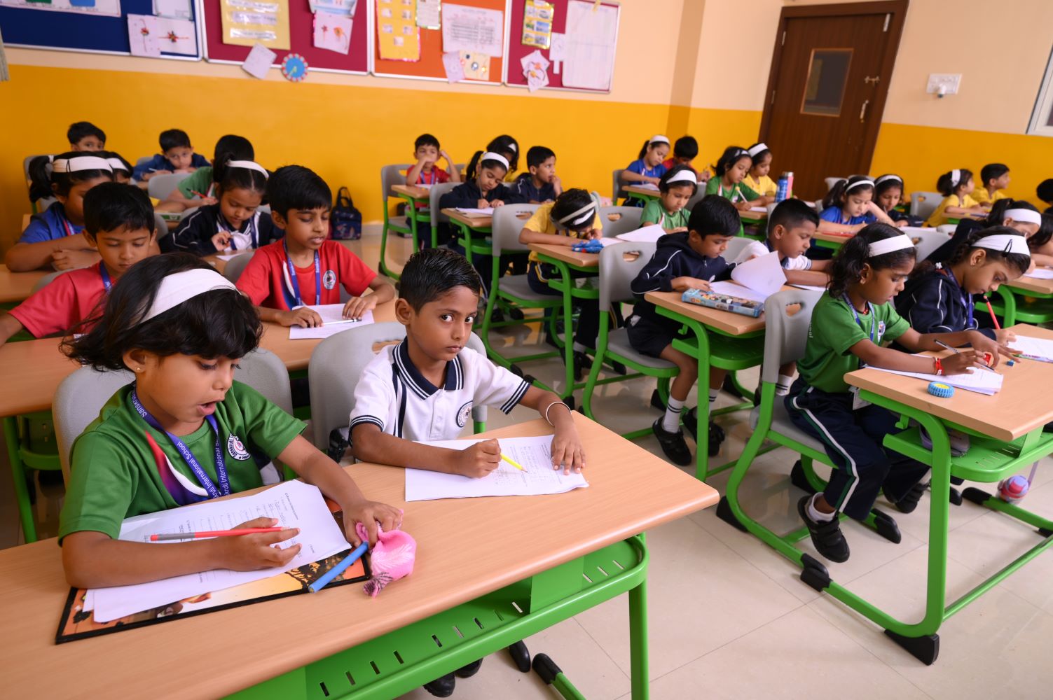 Primary School Program